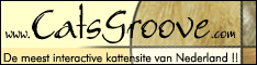 Catsgroove