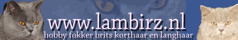 www.lambirz.nl