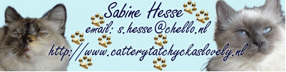 http://www.catterytatchyckaslovely.nl/